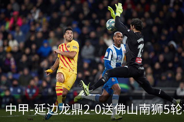 中甲-延边龙鼎2-0送佛山南狮5轮不胜 多明戈斯角球破门徐继祖建功